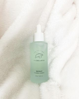 비앤포님이 올린 리뷰 사진 4