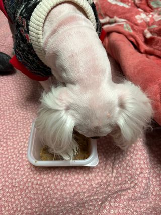 O_zl님이 올린 리뷰 사진 1