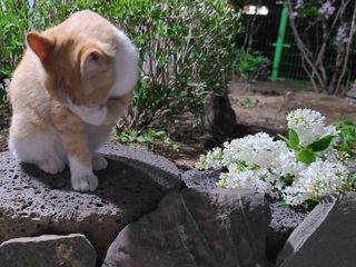 복덩이님이 올린 리뷰 사진 3