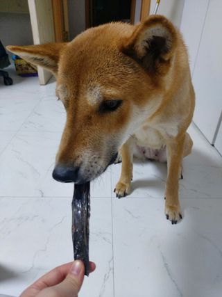 루비님이 올린 리뷰 사진 4