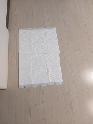 아베크 펫 와이드 프리미엄 중형 애견 강아지 배변 패드 54매 1팩 45g — 5점을 준 리뷰어가 2021년 7월 올린 사용 사진