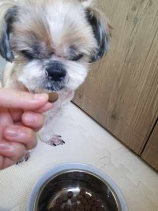 민우다빈이맘님이 올린 리뷰 사진 3