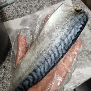 ㈜금호통상 노르웨이 고등어 900g (6~10편) — 5점을 준 리뷰어가 2022년 12월 올린 사용 사진