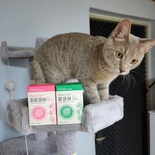 김주사랑님이 올린 리뷰 사진 2