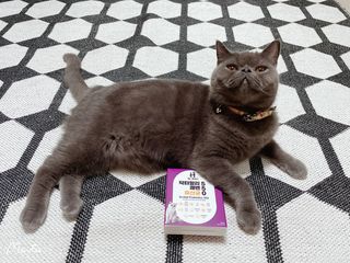 sehee님이 올린 리뷰 사진 3