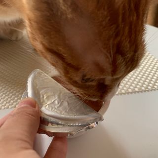 오잉님이 올린 리뷰 사진 3