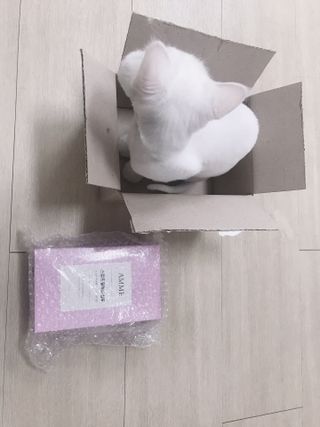 아므 스칼프 릴렉싱 샴푸 — 5점을 준 리뷰어가 2021년 4월 올린 사용 사진