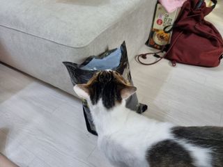 열일합시다님이 올린 리뷰 사진 3