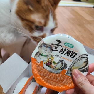 순모님이 올린 리뷰 사진 3