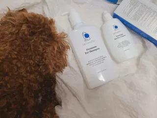 연이님이 올린 리뷰 사진 1
