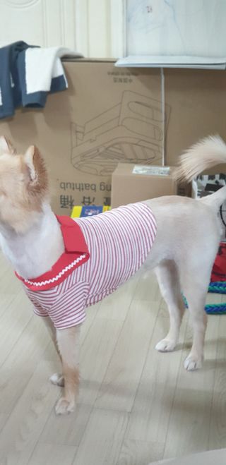 0.8L 마케팅팀 - — 5점을 준 리뷰어가 2021년 5월 올린 사용 사진