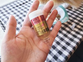 무지조타 반려동물용 꽃으로만든영양제 헬리코디펜스 15ml — 5점을 준 리뷰어가 2021년 8월 올린 사용 사진