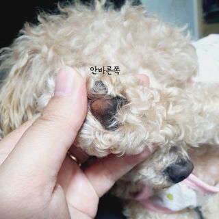 재님이 올린 리뷰 사진 2