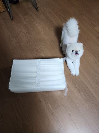K케이님이 올린 리뷰 사진 3