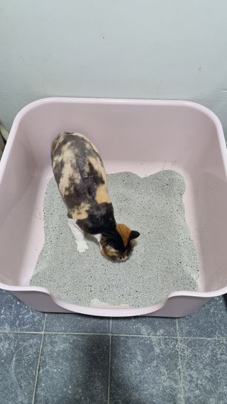 열일합시다님이 올린 리뷰 사진 4