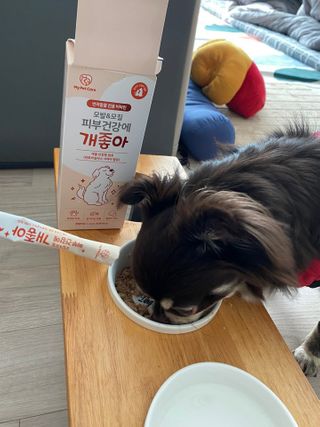 My Pet Care 모발과 모질 피부건강에 개좋아 — 5점을 준 리뷰어가 2021년 2월 올린 사용 사진
