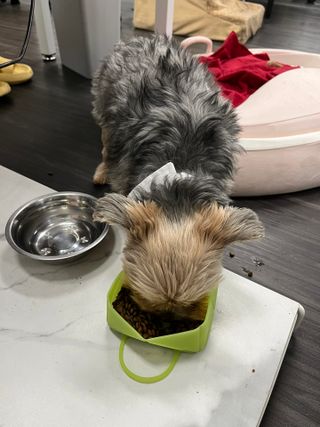 꿀님이 올린 리뷰 사진 4