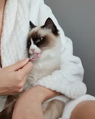 흥나니🐯🎵님이 올린 리뷰 사진 4