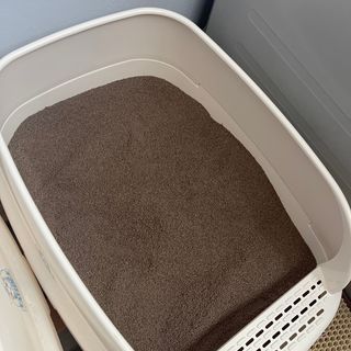 이붕선생님이 올린 리뷰 사진 3