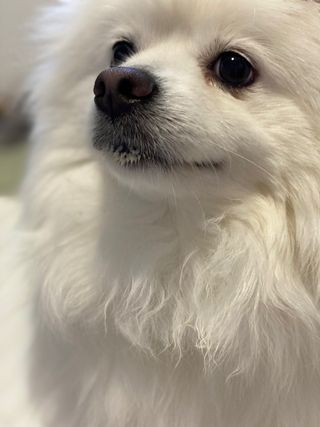 칸쵸님이 올린 리뷰 사진 2