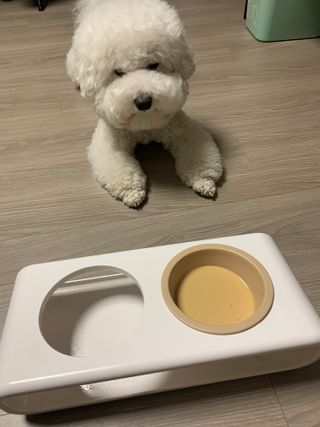정민트님이 올린 리뷰 사진 2
