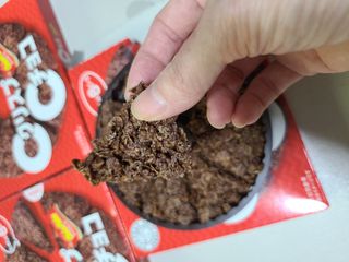 NISSIN 닛신 크리스피 초코 — 5점을 준 리뷰어가 2023년 1월 올린 사용 사진