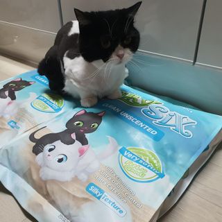 고고고님이 올린 리뷰 사진 1
