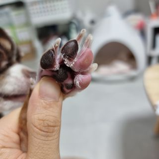 슬아님이 올린 리뷰 사진 4