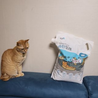 수경이야님이 올린 리뷰 사진 2