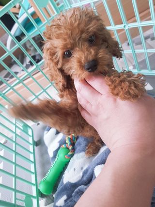 sssee님이 올린 리뷰 사진 1