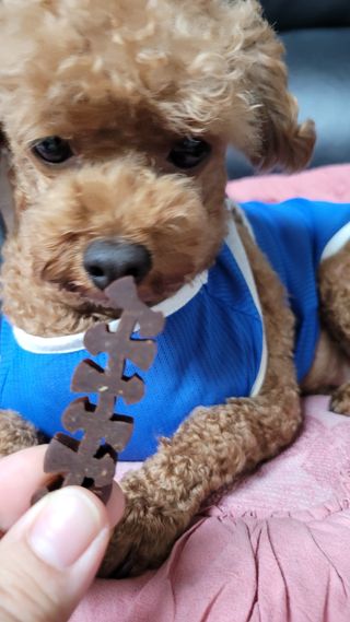 란다김님이 올린 리뷰 사진 4
