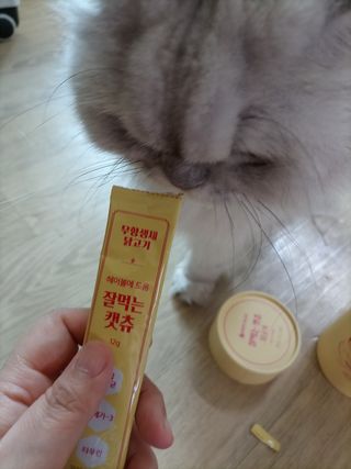 페페로니 잘 먹는 캣츄 - 무항생제 닭고기 24개입 — 5점을 준 리뷰어가 2021년 7월 올린 사용 사진