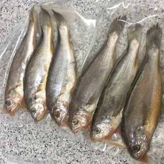 리빙블리님이 올린 리뷰 사진 2
