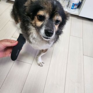 꽃수니어니님이 올린 리뷰 사진 4