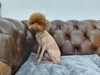 블랑쉬님이 올린 리뷰 사진 3