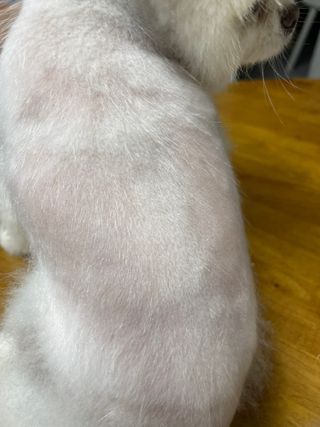 kibomi09님이 올린 리뷰 사진 4
