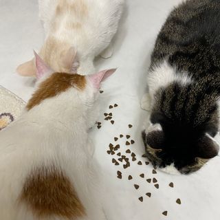 랴님이 올린 리뷰 사진 4