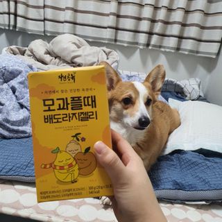 박지은님이 올린 리뷰 사진 1