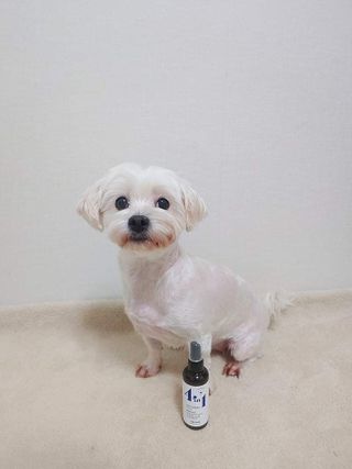 나뿡님이 올린 리뷰 사진 1
