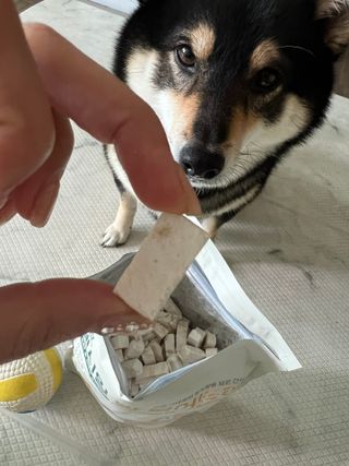 [펫시밀] 원물그대로 영양듬뿍 동결건조 왕북어트릿300g,왕치킨트릿400g,열빙어트릿300g 대용량 간식 — 5점을 준 리뷰어가 2023년 5월 올린 사용 사진