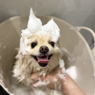 고이든님이 올린 리뷰 사진 4