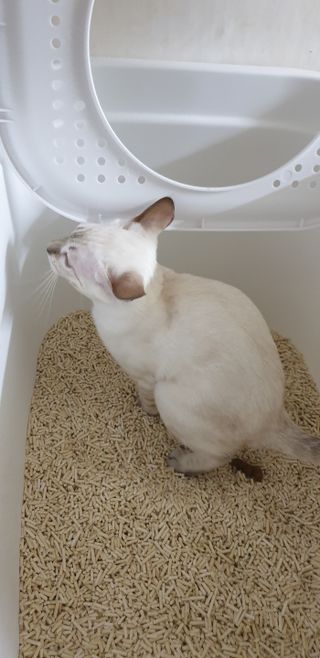 불량주부벗어나기님이 올린 리뷰 사진 4