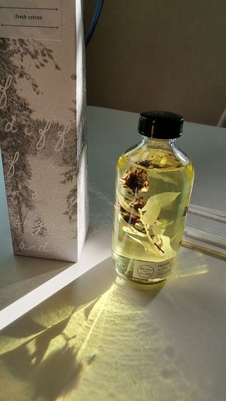 디어포레스트 숲속의 시간 디퓨저 시리즈 — 5점을 준 리뷰어가 2022년 9월 올린 사용 사진