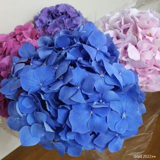 릴리랄라님이 올린 리뷰 사진 2