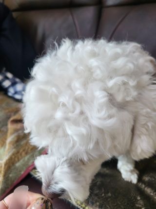 햄님이 올린 리뷰 사진 2