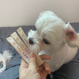 My Pet Care 모발과 모질 피부건강에 개좋아 — 4점을 준 리뷰어가 2021년 3월 올린 사용 사진