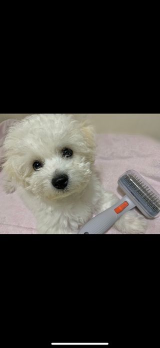 호두님이 올린 리뷰 사진 1