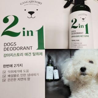 피치피치님이 올린 리뷰 사진 1