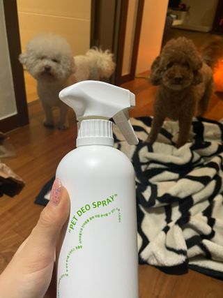 [푸푸몬스터](선물세트) 비건 펫 데오 스프레이(탈취제) 500ml (유향/무향 택 1)+산책 물통+메시지카드 — 5점을 준 리뷰어가 2022년 8월 올린 사용 사진