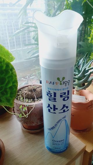 릴리님이 올린 리뷰 사진 1